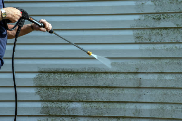 Best Pool Deck Cleaning  in Alachua, FL